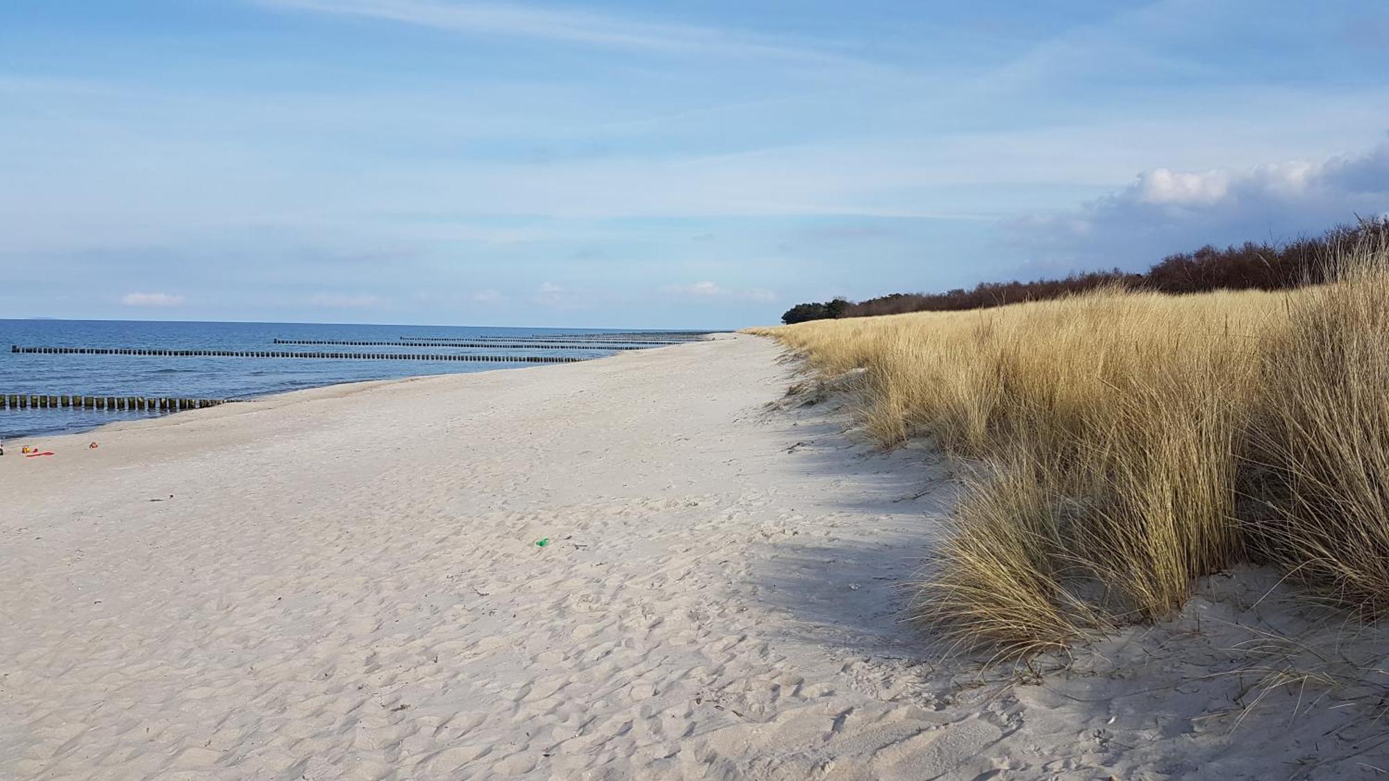 Achtern Diek Haus 12A Wohnung 7 Zingst Kültér fotó